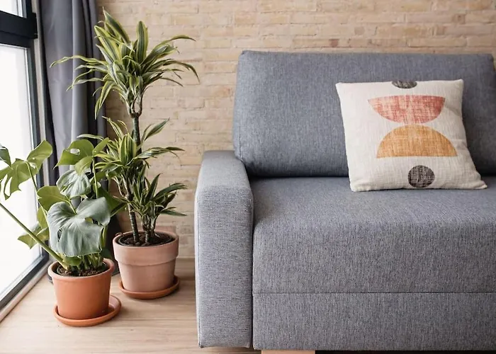 Lofts Plaza Jm Orense C